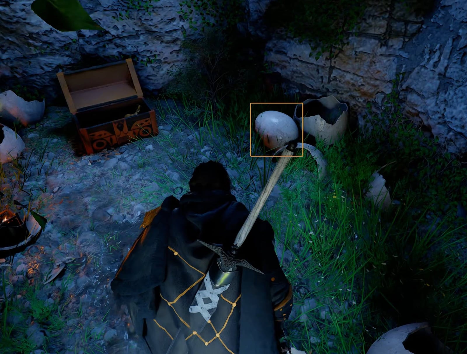 Wyvern Egg inside the cave near a chest