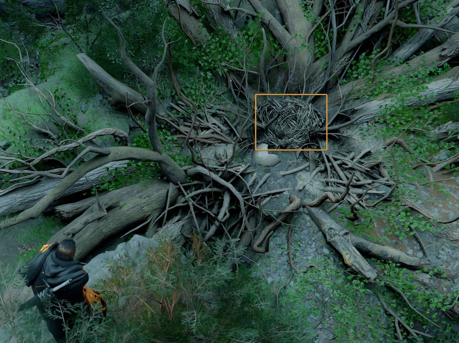 Twig nest used to hatch the Wyvern Egg
