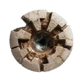 Blessing of the Beast I