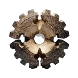 Blessing of the Forest I