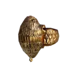 Ancient Shell Ring