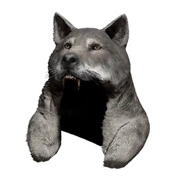 Головной убор альфа-волка