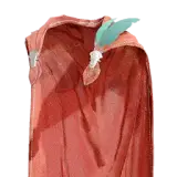 Cloak of Loyal Friendship