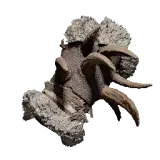 Crowcaller's White Leather Gloves