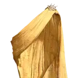 Delesyian Cloth Cloak