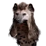 Hyena Helm
