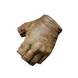 Shellus Leather Gloves