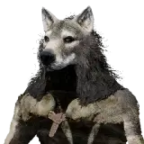 Wolf Cloak