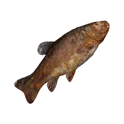 Pescado grande asado