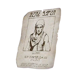 Kopfgeldausschreibung – Zahir