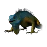 Iguana