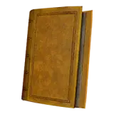 Journal on Treating Lunatics