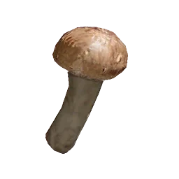 Mistyczny borowik sosnowy