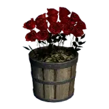 Red Rose Flower Pot
