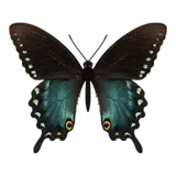 Spicebush Swallowtail Butterfly