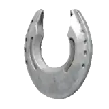 Silvermoon Horseshoes