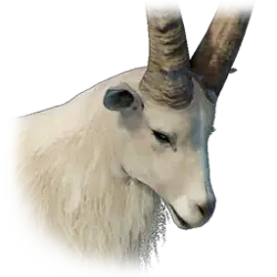 서릿발 알파인 아이벡스