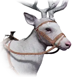 Snowwhite Deer