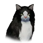 Long-Haired Cat