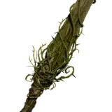 Sword of Wayward Woods